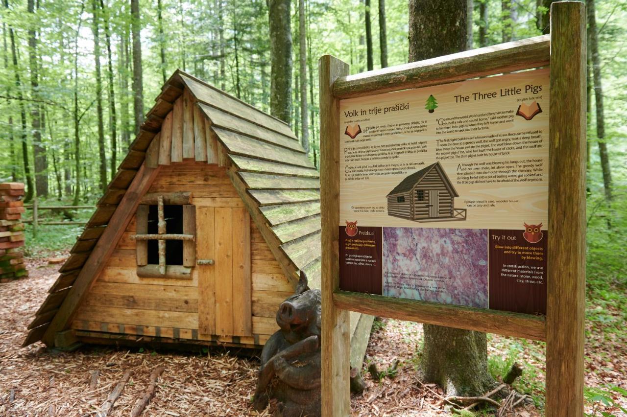 ホテル Eko Hisa-Eco House Na Razpotju Solčava エクステリア 写真