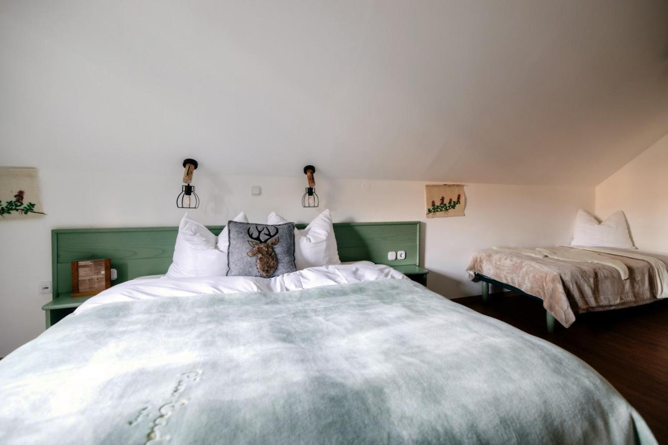 ホテル Eko Hisa-Eco House Na Razpotju Solčava エクステリア 写真